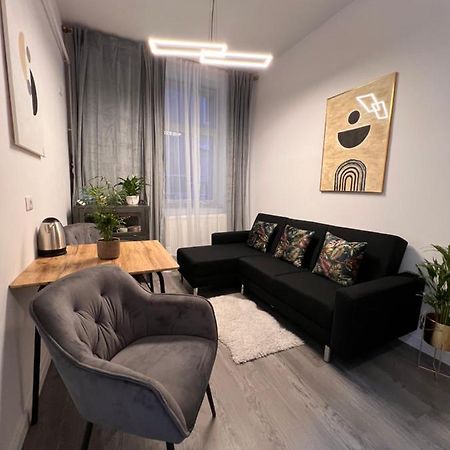 Musai Apartment Braşov Dış mekan fotoğraf