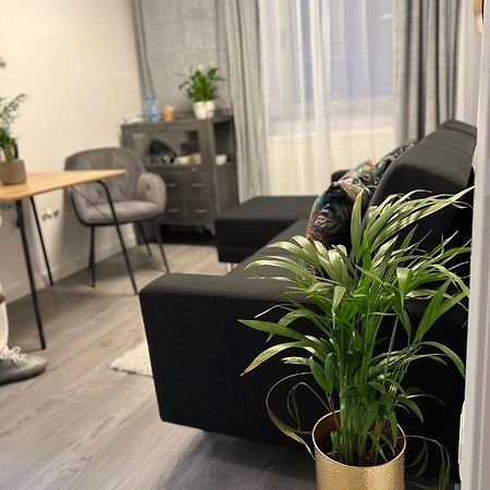 Musai Apartment Braşov Dış mekan fotoğraf