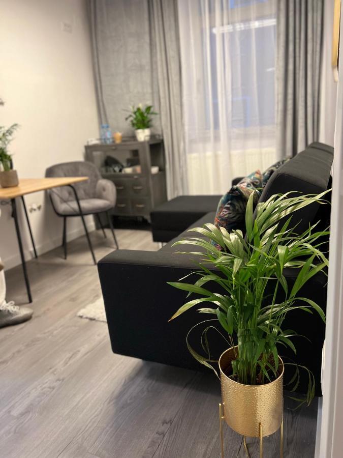 Musai Apartment Braşov Dış mekan fotoğraf